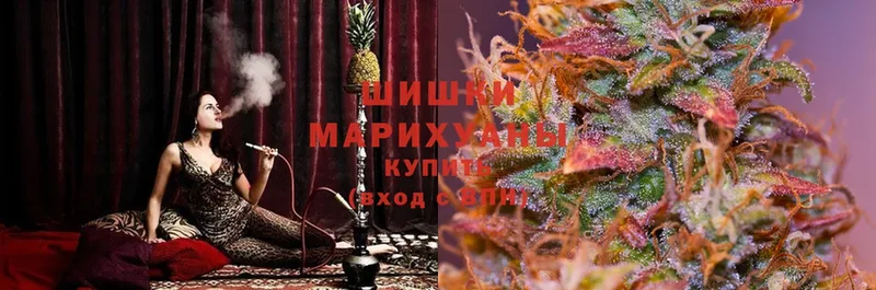 сколько стоит  Богучар  Бошки марихуана White Widow 